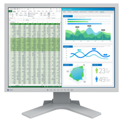 Monitor visoke rezolucije za rad sa tekstom i grafikom EIZO FlexScan S2134 21,3 inča